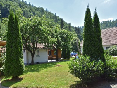 Apartment Wohnung mit Terrasse in Hüddingen - Outdoor photo 7