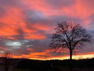 Apartment Holiday Home in Bavaria near Hiking Trails - Environment photo 23