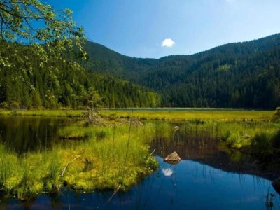 Apartment Holiday Home in Bavaria near Hiking Trails - Environment photo 25