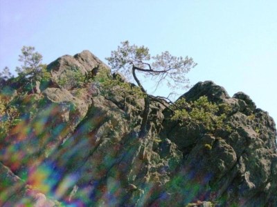 Apartment Holiday Home in Bavaria near Hiking Trails - Environment photo 26