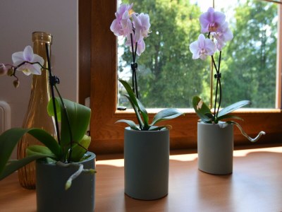 Apartment Holiday Home in Bavaria near Hiking Trails - Outdoor photo 31