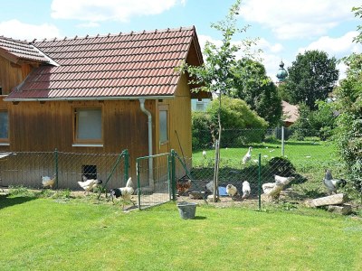 Apartment Wunderschöne Ferienwohnung in Waldnähe in Eslarn - Outdoor photo 10