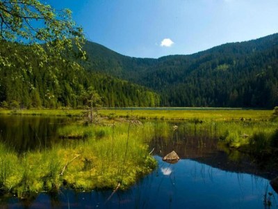 Apartment Wunderschöne Ferienwohnung in Waldnähe in Eslarn - Environment photo 31
