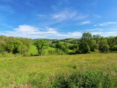 Holiday house Peaceful Stay with Pool - Environment photo 32