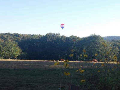 Holiday house Peaceful Stay with Pool - Environment photo 37