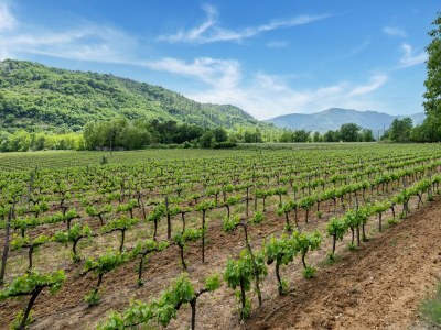 Holiday house Relaxing Stay in Les Vans - Environment photo 33