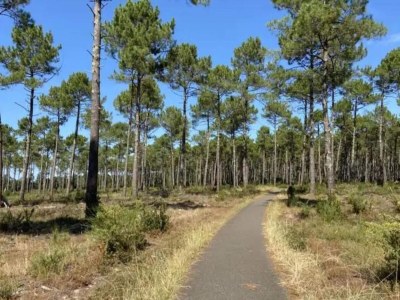 Villa Villa in Montauroux mit Pool & Waldnähe - Environment photo 35