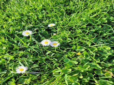 Villa Villa in Montauroux mit Pool & Waldnähe - Environment photo 40