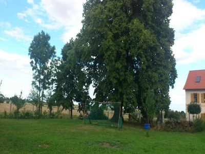 Apartment Charmantes Refugium, Ballenstedt - Outdoor photo 3