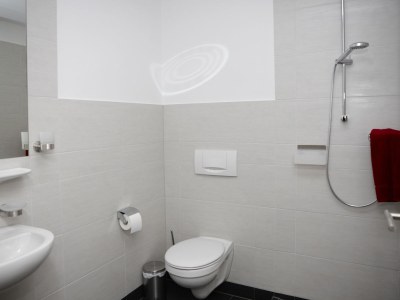 Holiday apartment "Dümmer Kojen" - Features photo 9