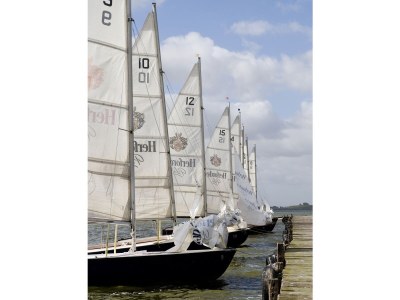 Holiday apartment "Dümmer Kojen" - Environment photo 14