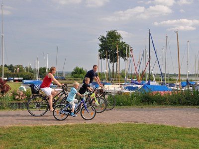 Holiday apartment "Dümmer Kojen" - Environment photo 17