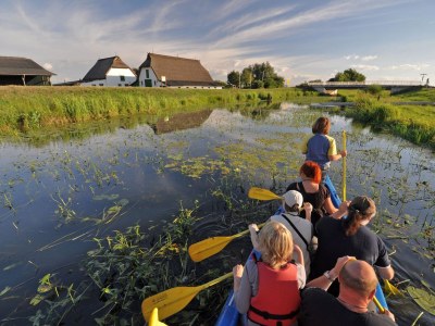 Holiday apartment "Dümmer Kojen" - Environment photo 19