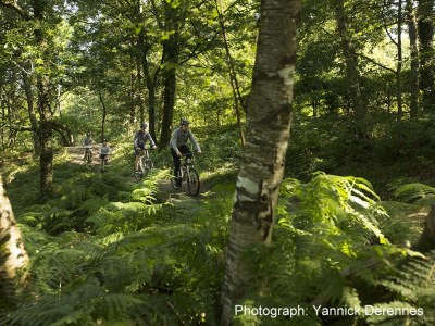 Holiday house B1140 Guerledan-se - Environment photo 16