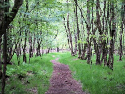 Holiday apartment Möwenstieg - Environment photo 13