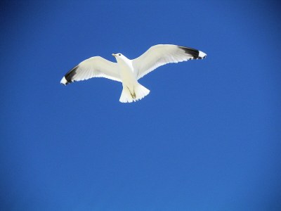 Holiday apartment Möwenstieg - Environment photo 14