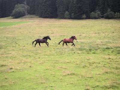 Holiday apartment Möwenstieg - Environment photo 15
