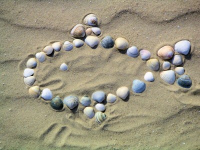 Holiday apartment Möwenstieg - Environment photo 16