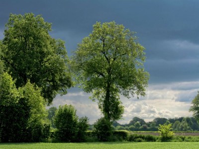 Holiday house Farmhouse in Geesteren near Forests - Outdoor photo 4
