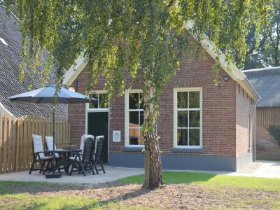 Holiday house Farmhouse in Geesteren near Forests - Outdoor photo 8