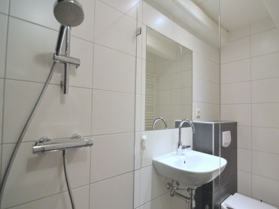 Holiday house Farmhouse in Geesteren near Forests - Features photo 19