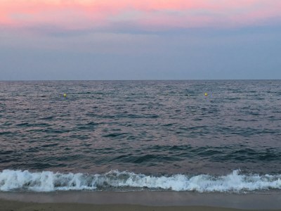 Holiday house Mas de Saint Pierre - Environment photo 31