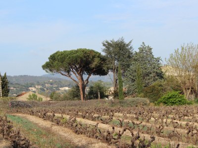 Holiday house Mas de Saint Pierre - Environment photo 32