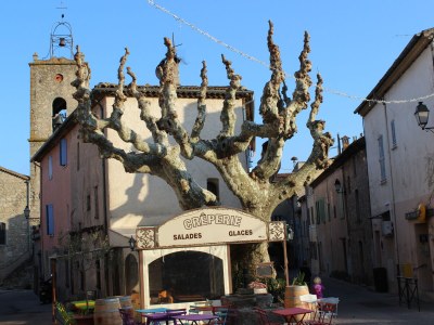 Holiday house Mas de Saint Pierre - Environment photo 34