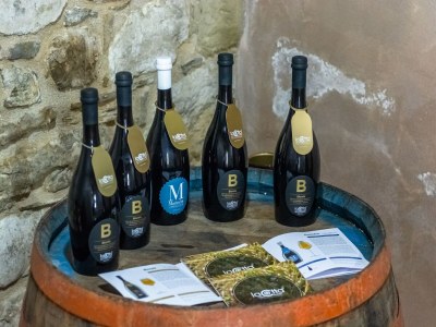 Farmhouse Hübsches Bauernhaus mit Pool - Outdoor photo 38