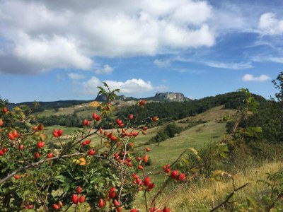 Farmhouse Tranquil Farmhouse in Sestino - Environment photo 30