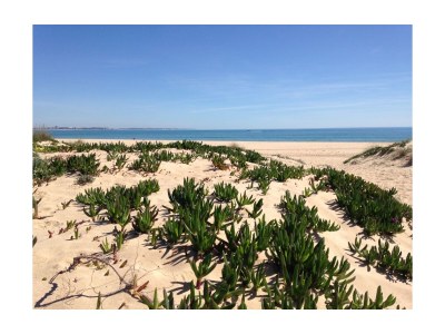 Holiday apartment Luxury Holiday in Lagos - Environment photo 28