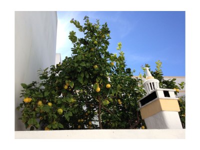 Holiday apartment Luxury Holiday in Lagos - Environment photo 31