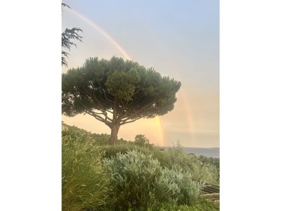 Villa Le Plein Sud - Outdoor photo 10