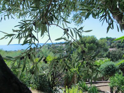 Villa Le Plein Sud - Outdoor photo 14