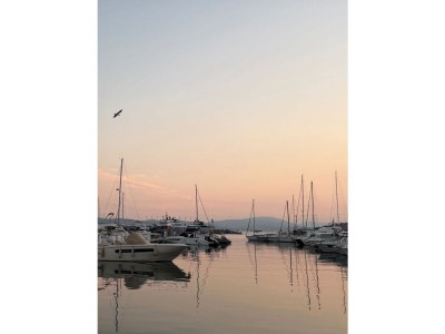 Villa Le Plein Sud - Environment photo 39