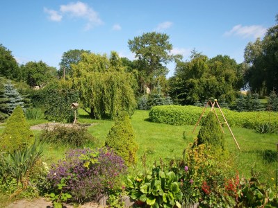 Holiday house Zum-kleinen-Maulwurf - Outdoor photo 7