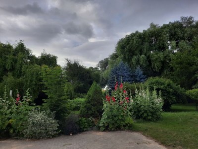 Holiday house Zum-kleinen-Maulwurf - Outdoor photo 9