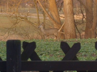 Holiday house Zum-kleinen-Maulwurf - Environment photo 27