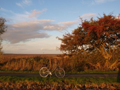 Holiday house Zum-kleinen-Maulwurf - Environment photo 28