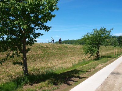 Holiday house Zum-kleinen-Maulwurf - Environment photo 29