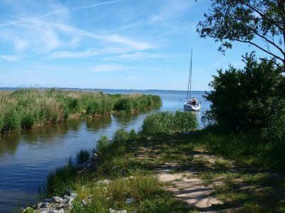 Holiday house Zum-kleinen-Maulwurf - Environment photo 30