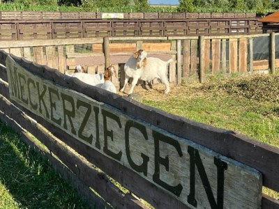 Holiday house Zum-kleinen-Maulwurf - Environment photo 35