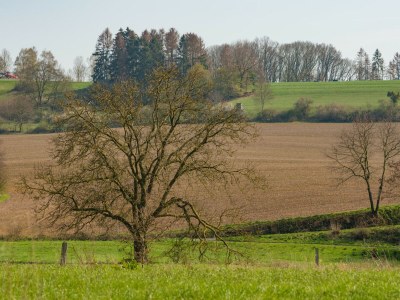 Holiday house Ferienhaus in Amelgatzen mit Terrasse - Environment photo 30