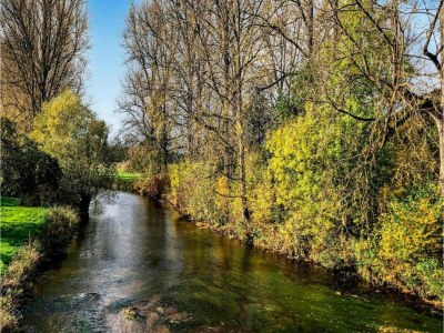 Holiday house Ferienhaus in Amelgatzen mit Terrasse - Environment photo 36
