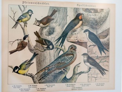 Holiday house Ferienhaus in Amelgatzen mit Terrasse - Outdoor photo 39