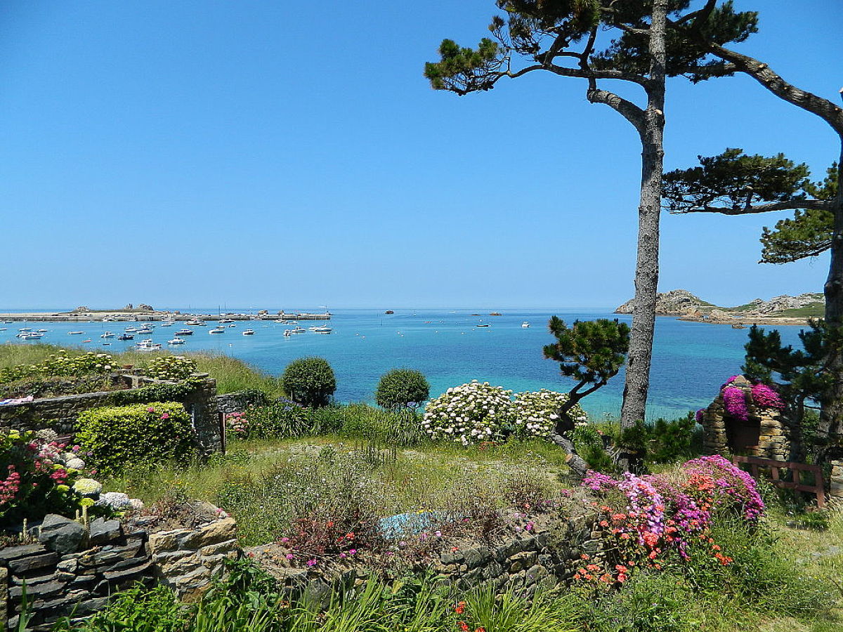 Holiday house C1341 Plougasnou-C6 - Outdoor photo 2