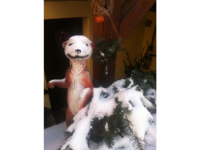 Holiday house Ilona Gürth - Outdoor photo 8