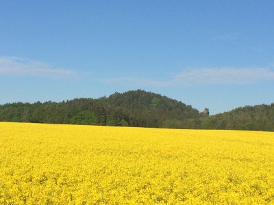 Holiday house Ilona Gürth - Environment photo 31