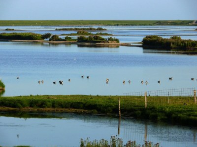 Holiday apartment Gröde in Haus Halligblick in Dagebüll - Holiday apartment