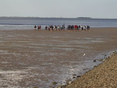 Holiday apartment Gröde in Haus Halligblick - Environment photo 12